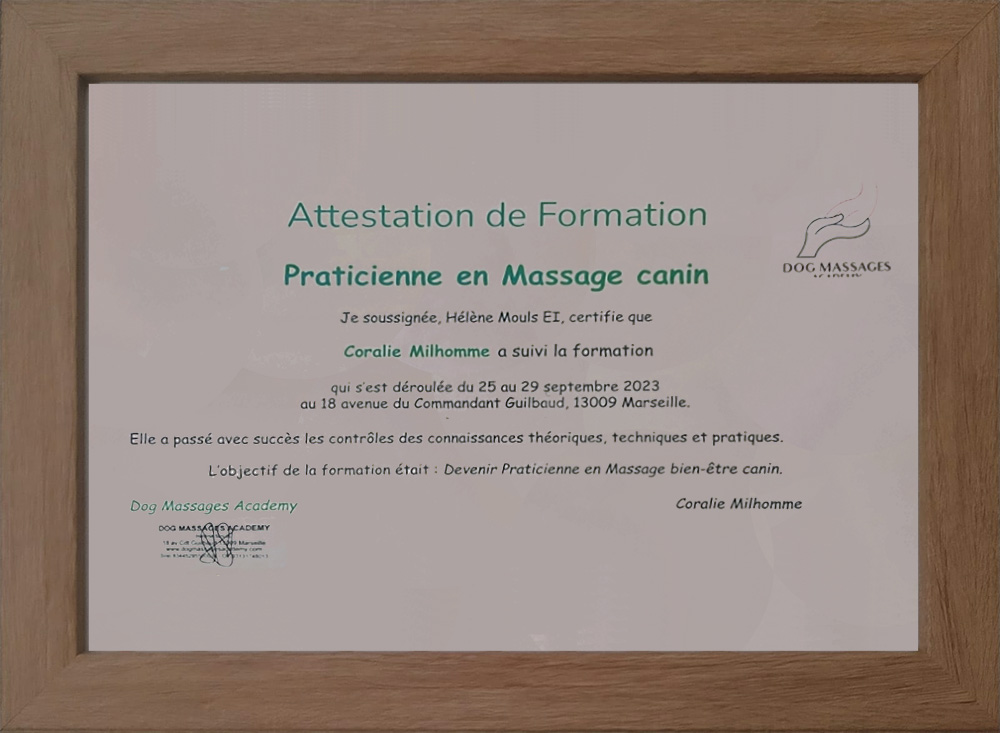 Bons cadeaux Massage